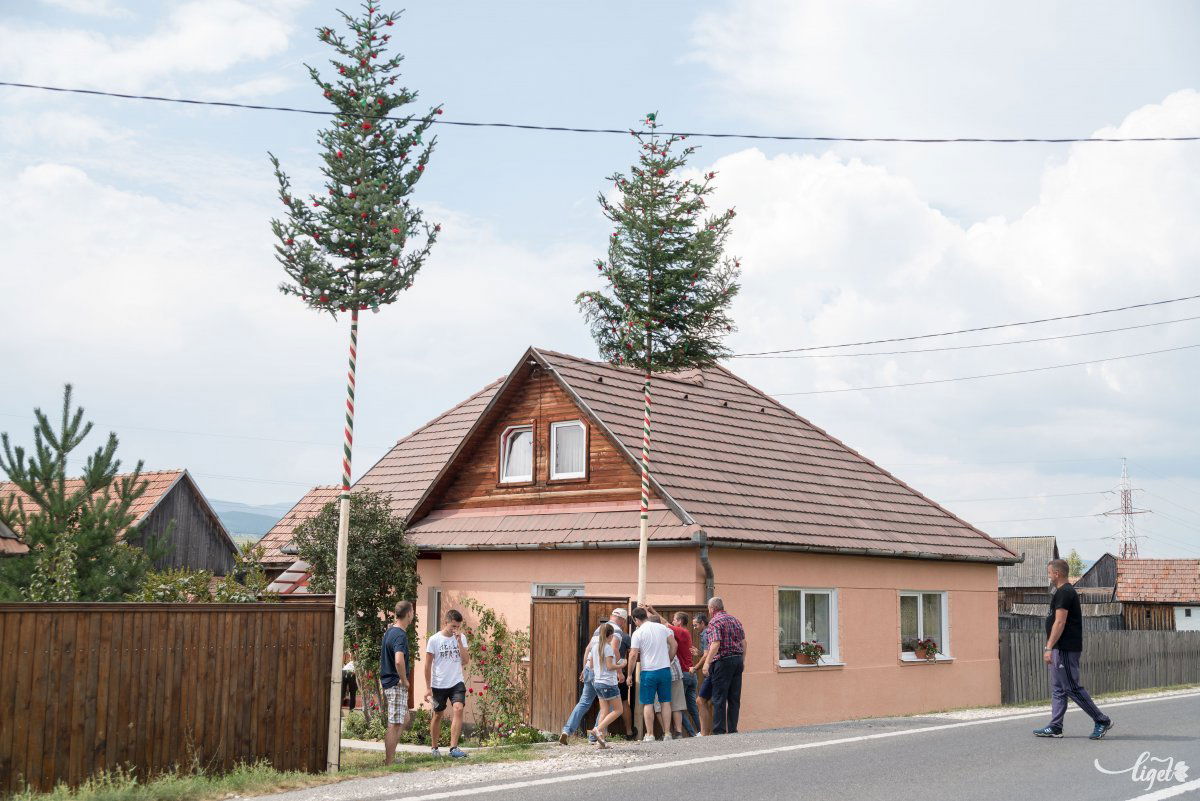 •  Fotó: Veres Nándor