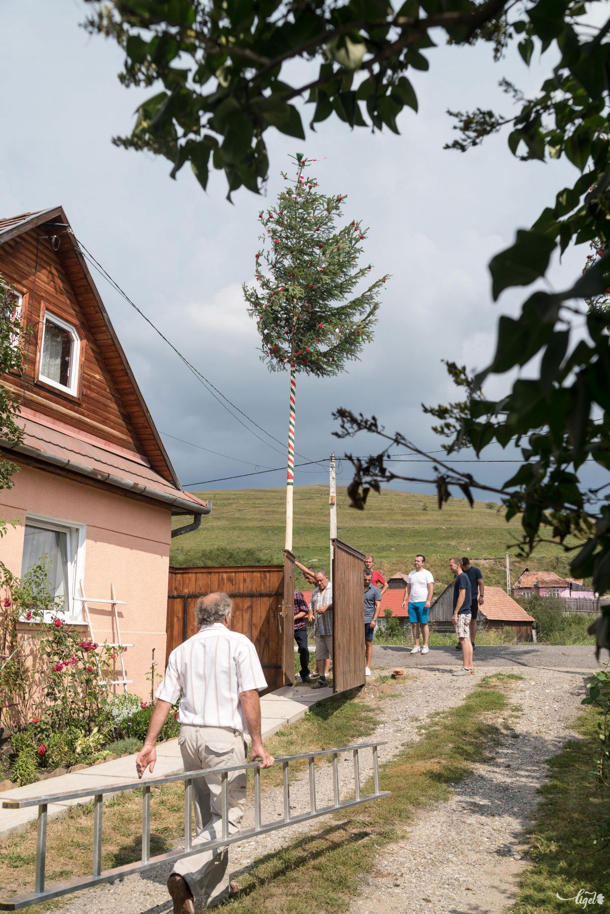 •  Fotó: Veres Nándor