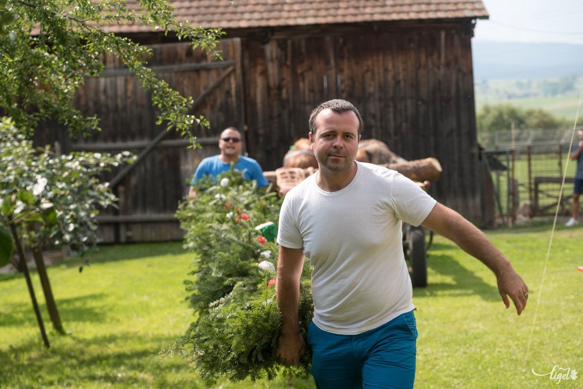 •  Fotó: Veres Nándor