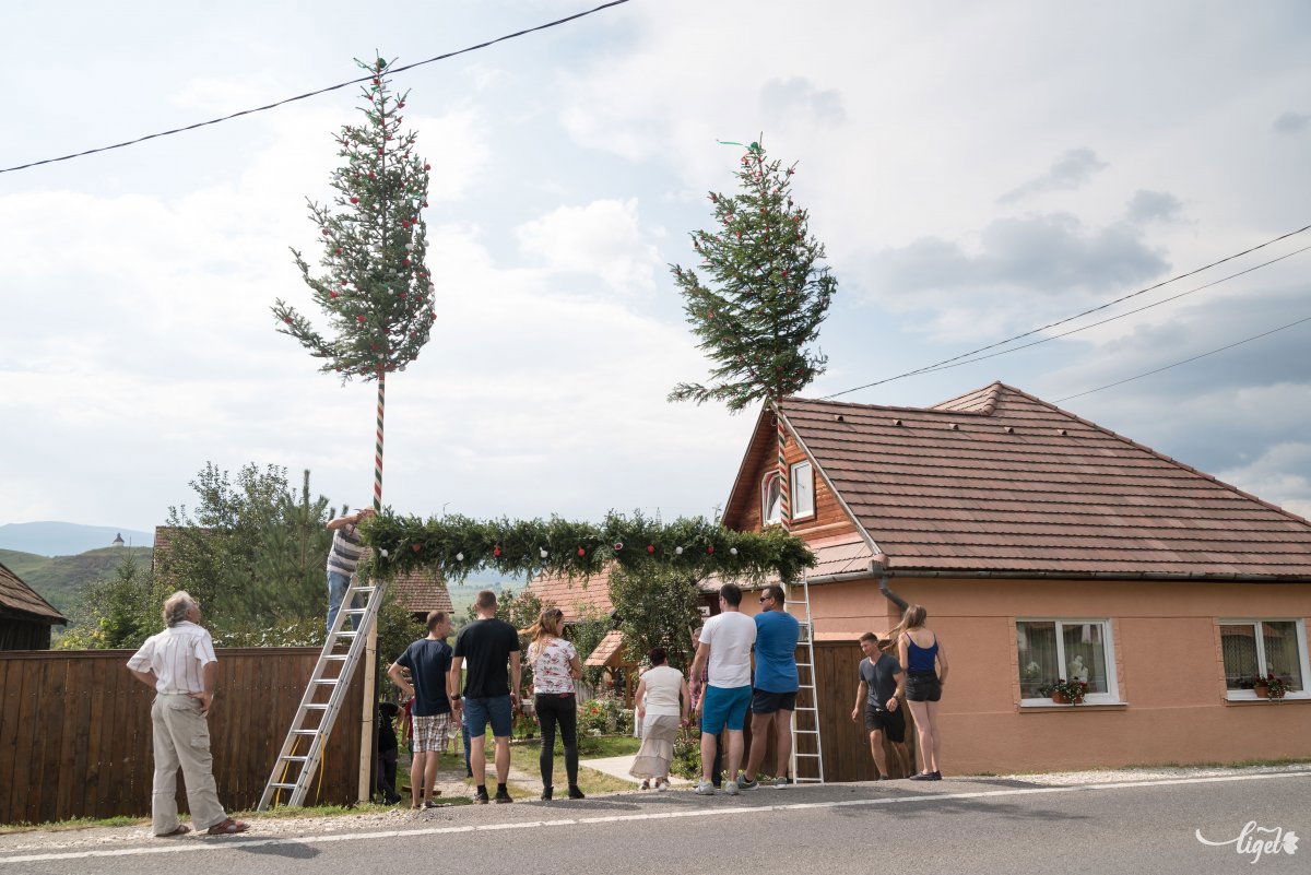 •  Fotó: Veres Nándor