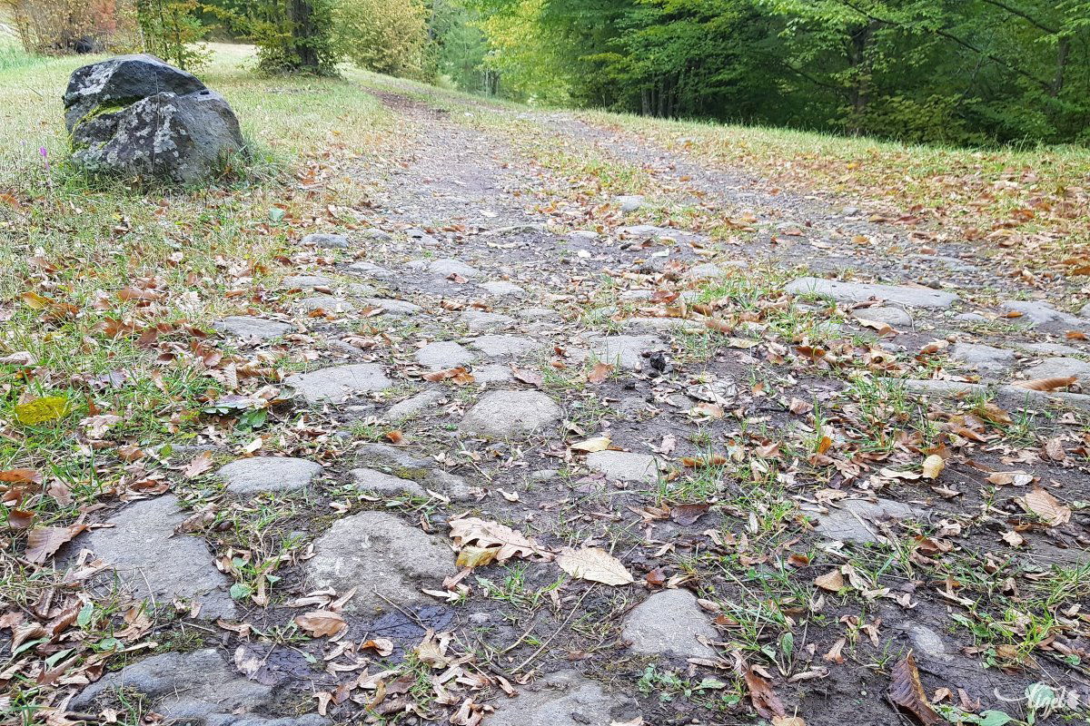 Hengerelt kővel borított állami út maradványai a Hargitán •  Fotó: Rédai Attila