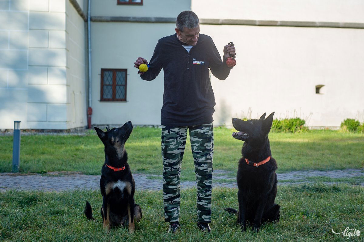 Van olyan színész, amelyik fél a kutyától, és akkor dublőr csinálja meg a jelenetet •  Fotó: Gecse Noémi