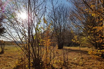 Novemberi nyár: mi okozta a szokatlan meleget?