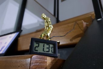 Márpedig a falak nem lélegeznek: Székelyföld első passzívházában jártunk