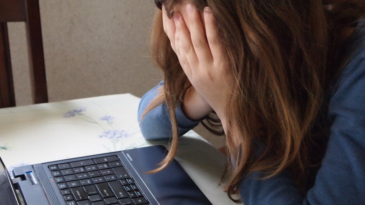 Az internetes zaklatás fogalmát jól ismerik a gyerekek •  Fotó: Pixabay.com