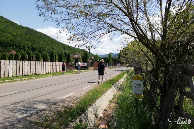 Vármező egyre népszerűbb és divatosabb •  Fotó: Antal Erika