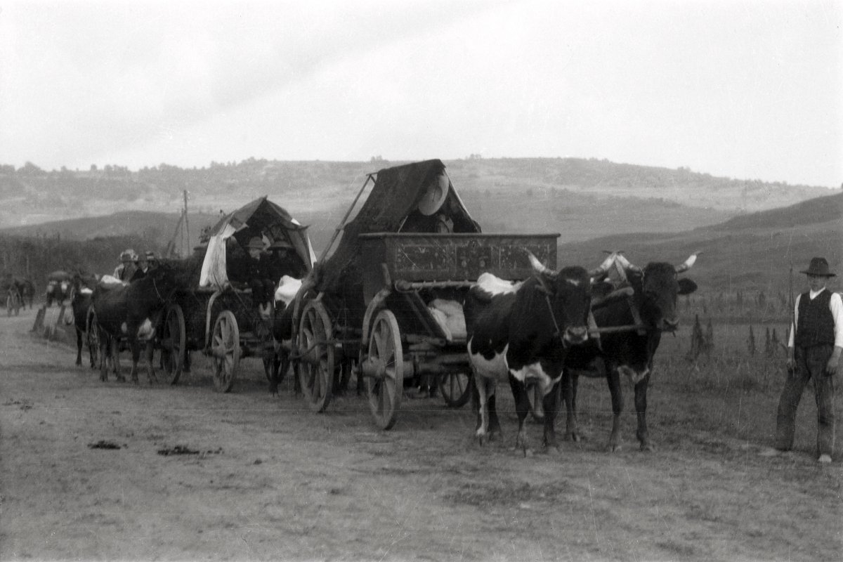 Székely menekültek Kolozsvár mellett 1916-ban •  Fotó: József Álmos tulajdona