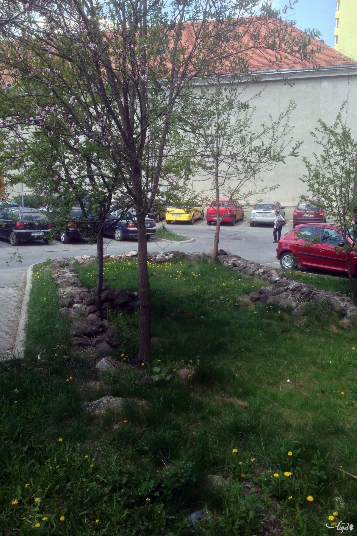 A jövőben lesz-e régészeti park a középkori ház helyén? •  Fotó: Rédai Attila