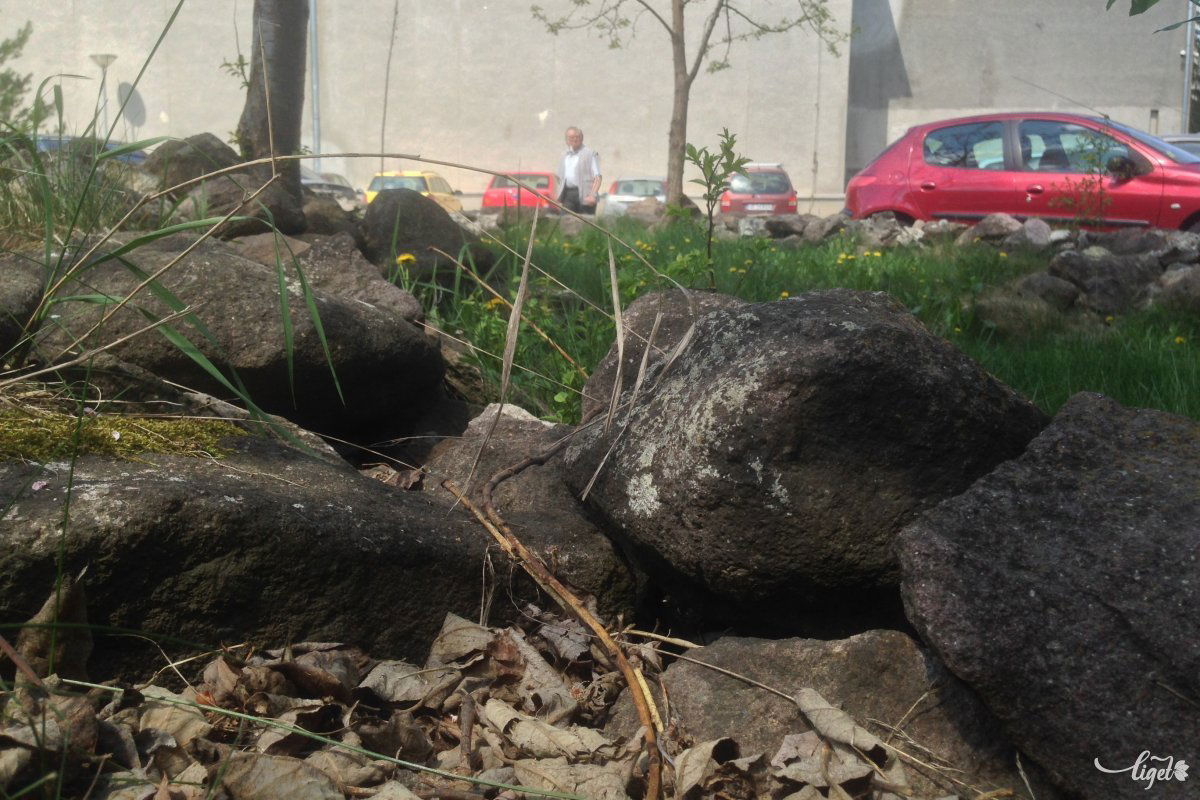 Romoknak tűnő kövek a színház parkolójában: rejtett történelem •  Fotó: Rédai Attila