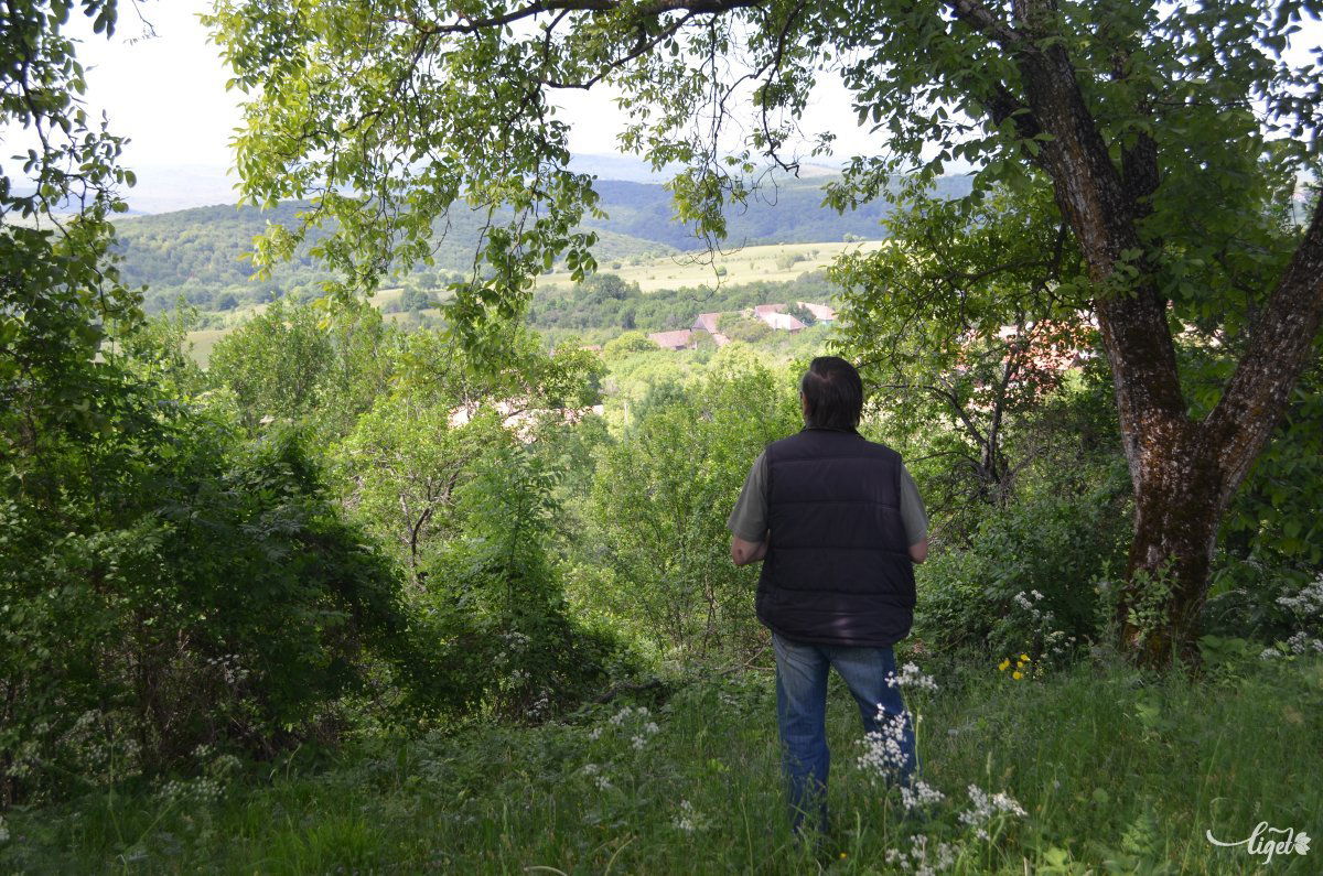 Székelypálfalva •  Fotó: Jánosi Csaba