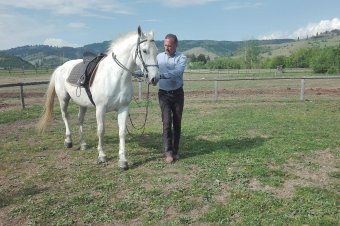 Értékesebbé válhat a magyar stílus, a magyar ló