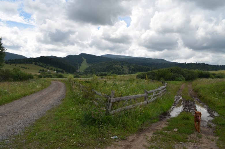 Balra, Akadán útja •  Fotó: Jánosi Csaba