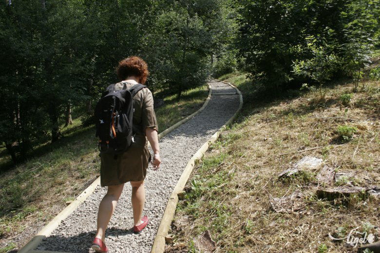 Út a marosvásárhelyi botanikus kertbe. Hetven éve hozták létre, de alig ismerik •  Fotó: Gálna Zoltán