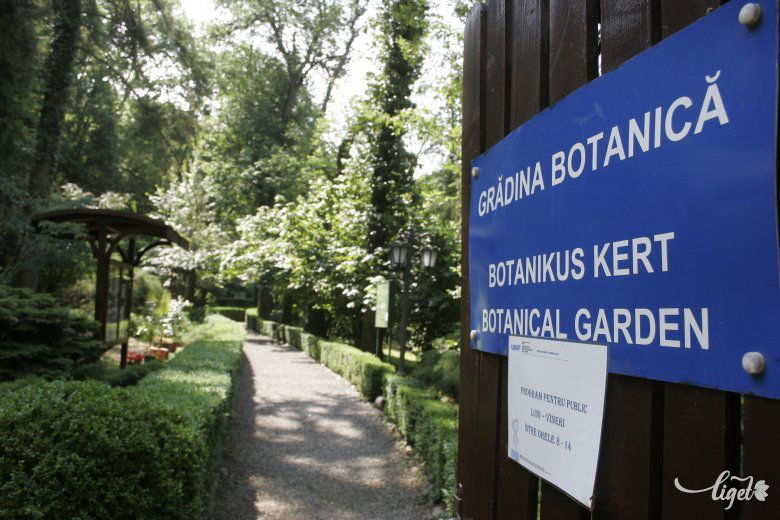 Háromnyelvű tábla jelzi a bejáratot, s késő délutánig bárki bemehet és sétálhat egyet, ha kedve tartja. •  Fotó: Gálna Zoltán