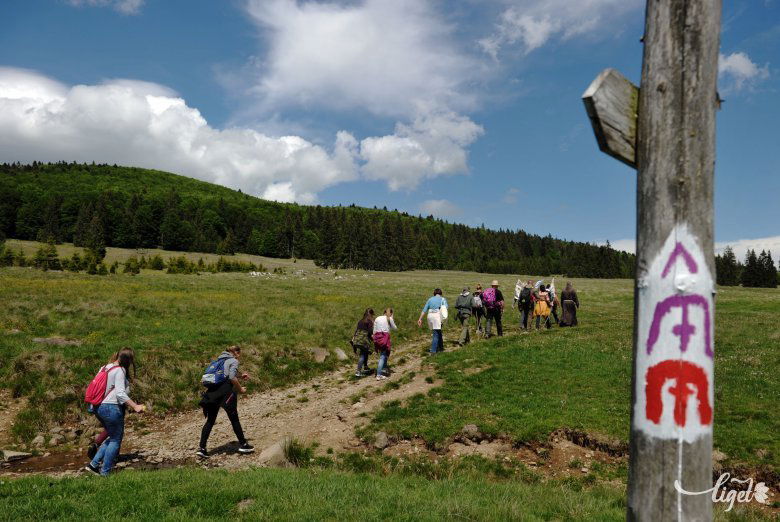 Hargita megyét a Mária-út hat, Csíksomlyóra vezető útvonala érinti •  Fotó: Beliczay László