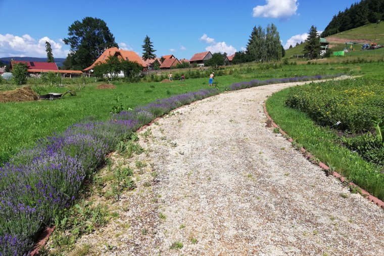 Hétszáz résztvevőt várnak az ifjúsági találkozóra