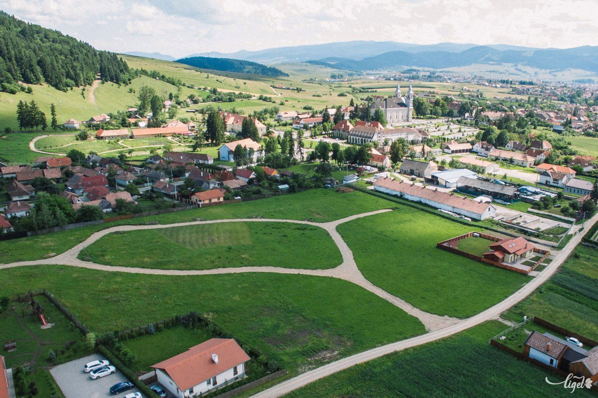 •  Fotó: Farkas Tamás
