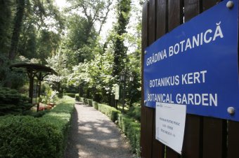 Nagy multú botanikus kert, mégis alig tudunk róla
