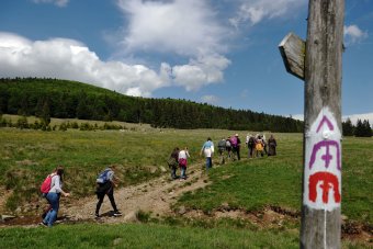 Jelzések, útvonalak: hasznos tudnivalók a Mária-útról