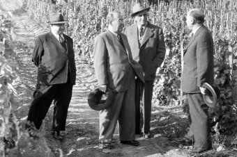 Nagy Imre és a román orvos esete
