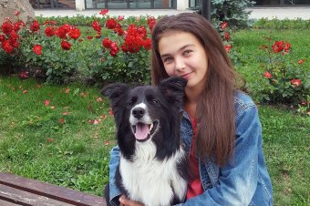 Kutya és gazda harmóniája: az agility
