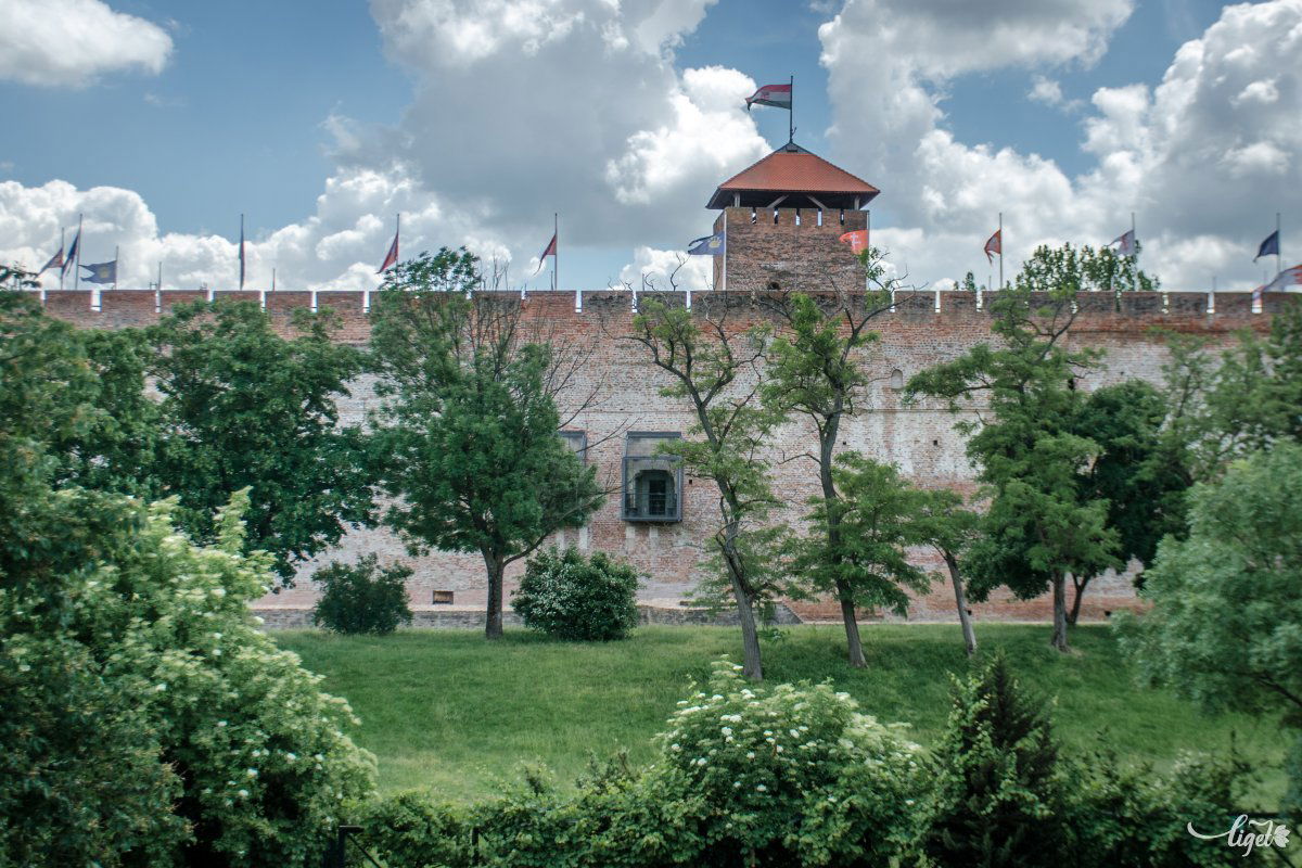 &bullet;  Fotó: Pinti Attila