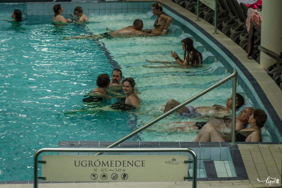 &bullet;  Fotó: Pinti Attila