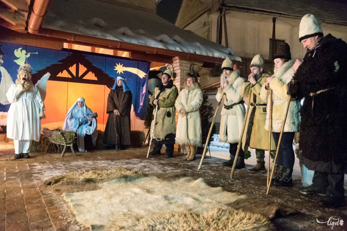 •  Fotó: Veres Nándor