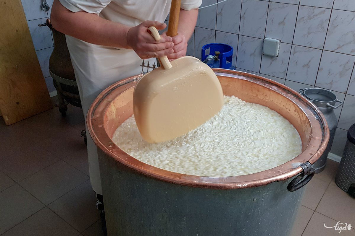 Kukoricaszem nagyságú alvadékrög, ebből készül az érlelt sajt •  Fotó: Rédai Attila