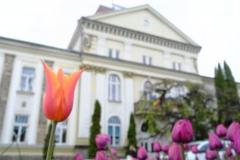 Felkerülhet Európa kertészeti térképére Csíkszereda, de mindenkinek tennie kell érte