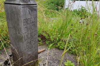 Hamarabb voltunk, mint a Sziget! Rövid székelyföldi fesztiváltörténet