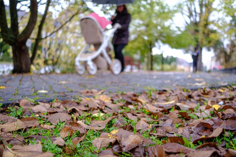 Hó a hőnek: már nincs sok, és lehűl a levegő