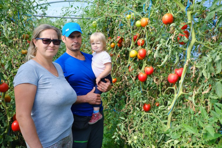 Vegyszermentesen a „világ legfinomabb” zakuszkájáért