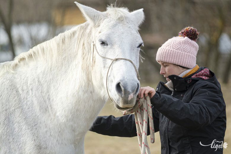 A lovakkal való szelíd bánásmódban nagy szerepe van a szeretetnek, az alázatnak, a tiszteletnek és a türelemnek – mondja Viktória •  Fotó: Veres Nándor