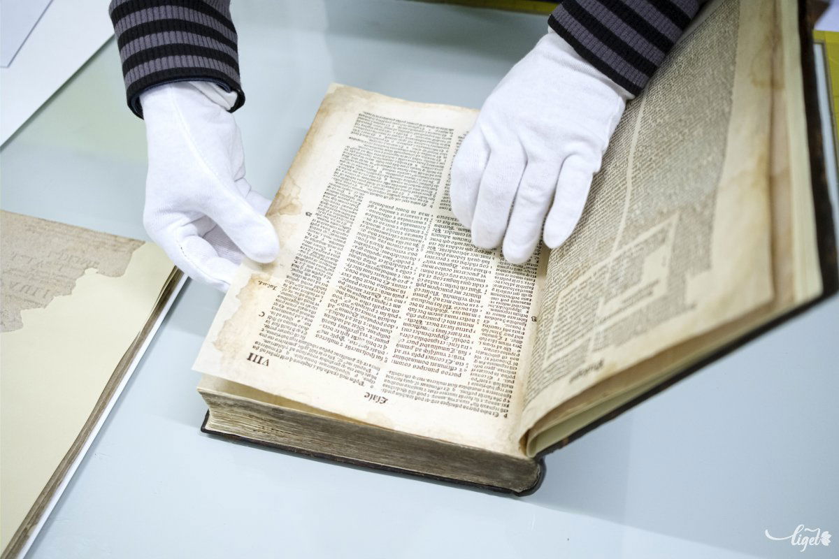 Ritkaságok, felbecsülhetetlen értékű könyvek is előkerülnek •  Fotó: Veres Nándor