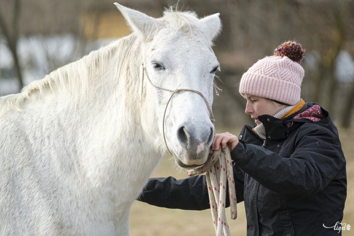 A lovakkal való szelíd bánásmódban nagy szerepe van a szeretetnek, az alázatnak, a tiszteletnek és a türelemnek – mondja Viktória •  Fotó: Veres Nándor