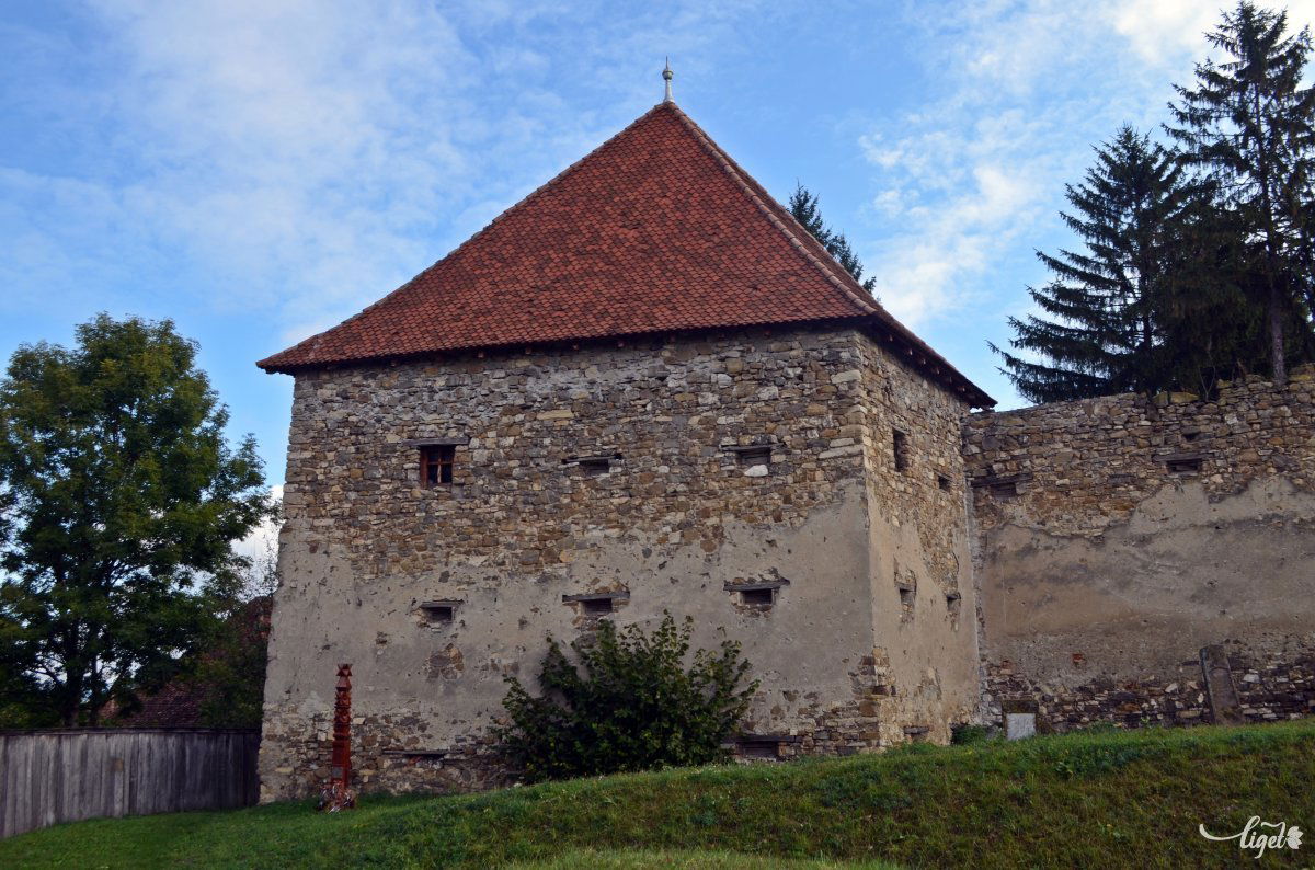 •  Fotó: Jánosi Csaba