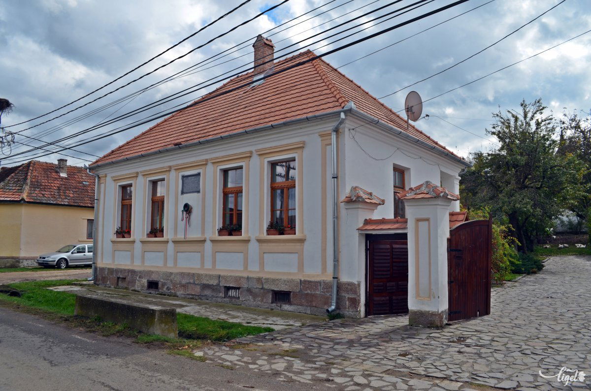 •  Fotó: Jánosi Csaba