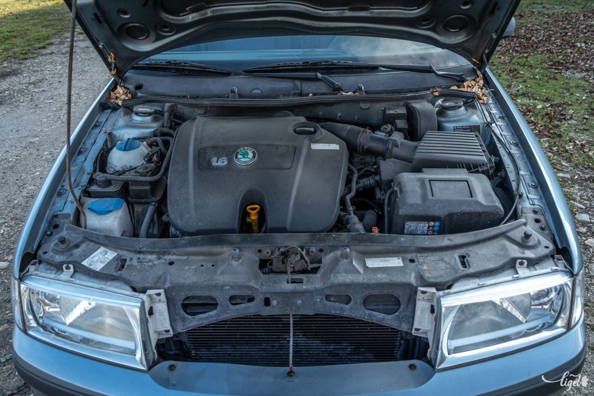 A kasztni valószínűleg hamarabb porlad el, mint ahogy a motor „megadná magát” •  Fotó: Pinti Attila