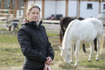 Tisztelettel és szeretettel bánni a lovakkal: Hamza Viktória