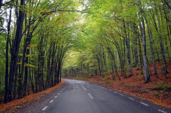 Ajtó Székelyföldre. Októberi kirándulás Nagyajtán