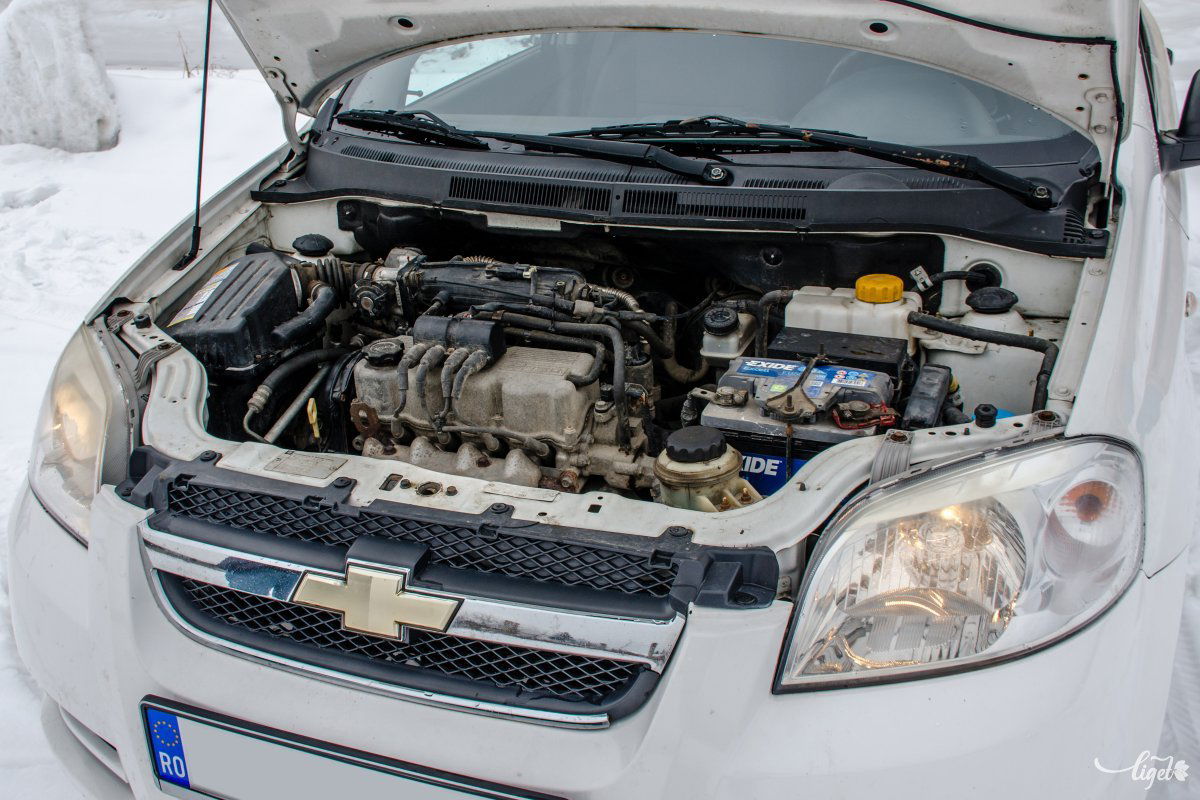 Hiába pillekönnyű a kasztni, cseppet sem tudja agilissé tenni a 72 lovas motor •  Fotó: Pinti Attila