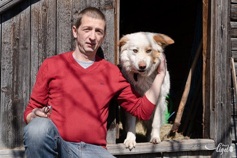 Falusi csendélet, kutyával •  Fotó: Gábos Albin
