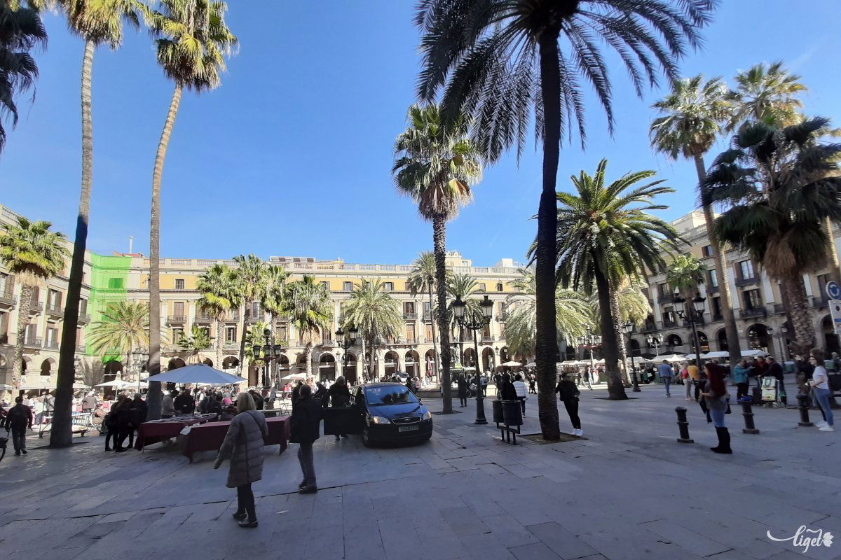 Napfény, pálmafák, Barcelona – februárra jó kombináció •  Fotó: Szatmári Bence