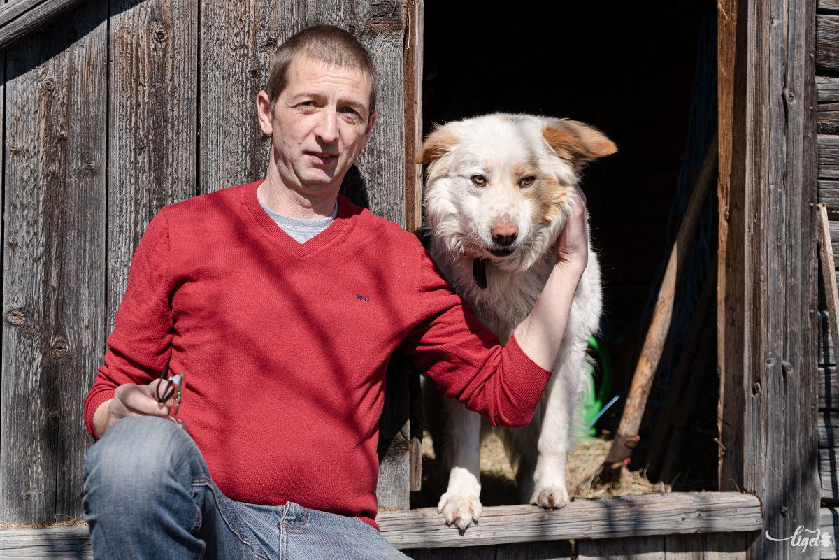 Falusi csendélet, kutyával •  Fotó: Gábos Albin