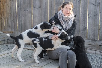Ahol a simogatás lelket ment: történetek az emberi gonoszságról és jóságról