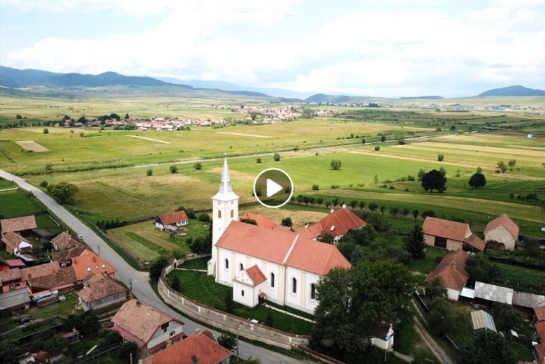•  Fotó: képkocka Botár István/Dendrolab videójából