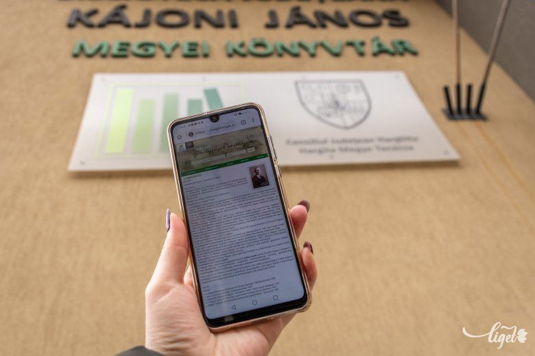 Nem csak kutatóknak ajánlott. A cél, hogy minél többen megismerjék a jeles elődöket •  Fotó: Pinti Attila