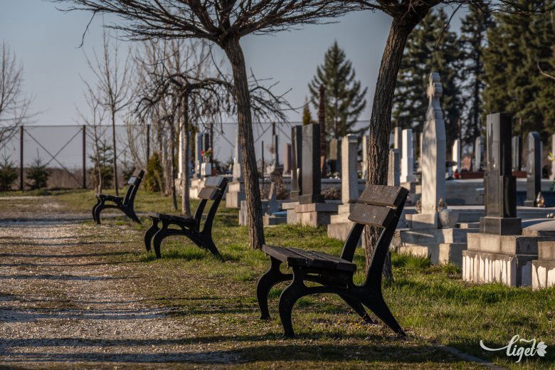 Csendesek, üresek a temetők még a szertartások idején is •  Fotó: Pinti Attila