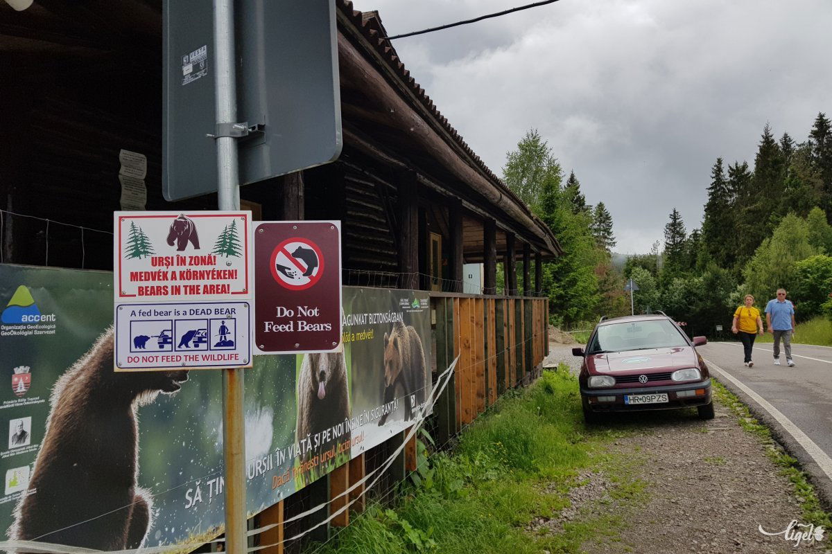 A medveveszély nem elhanyagolandó, s főleg a turisták által hozott szemétre járnak ide •  Fotó: Rédai Attila